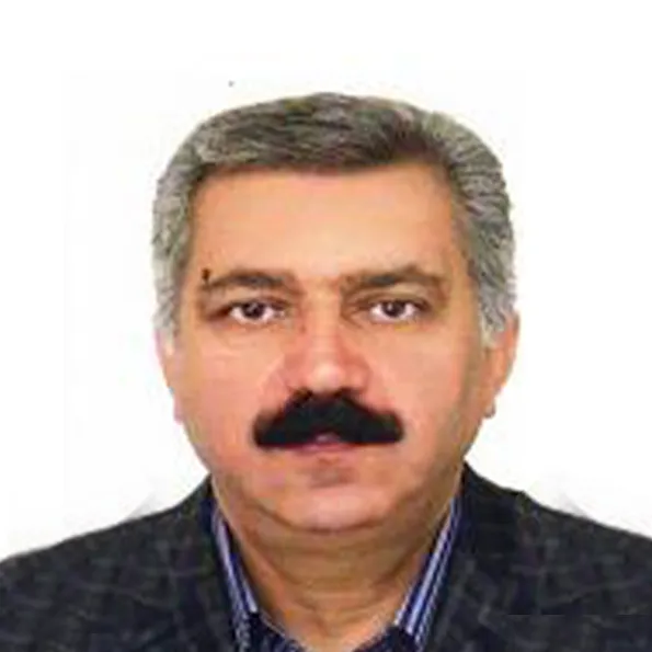 حسن صدیقی